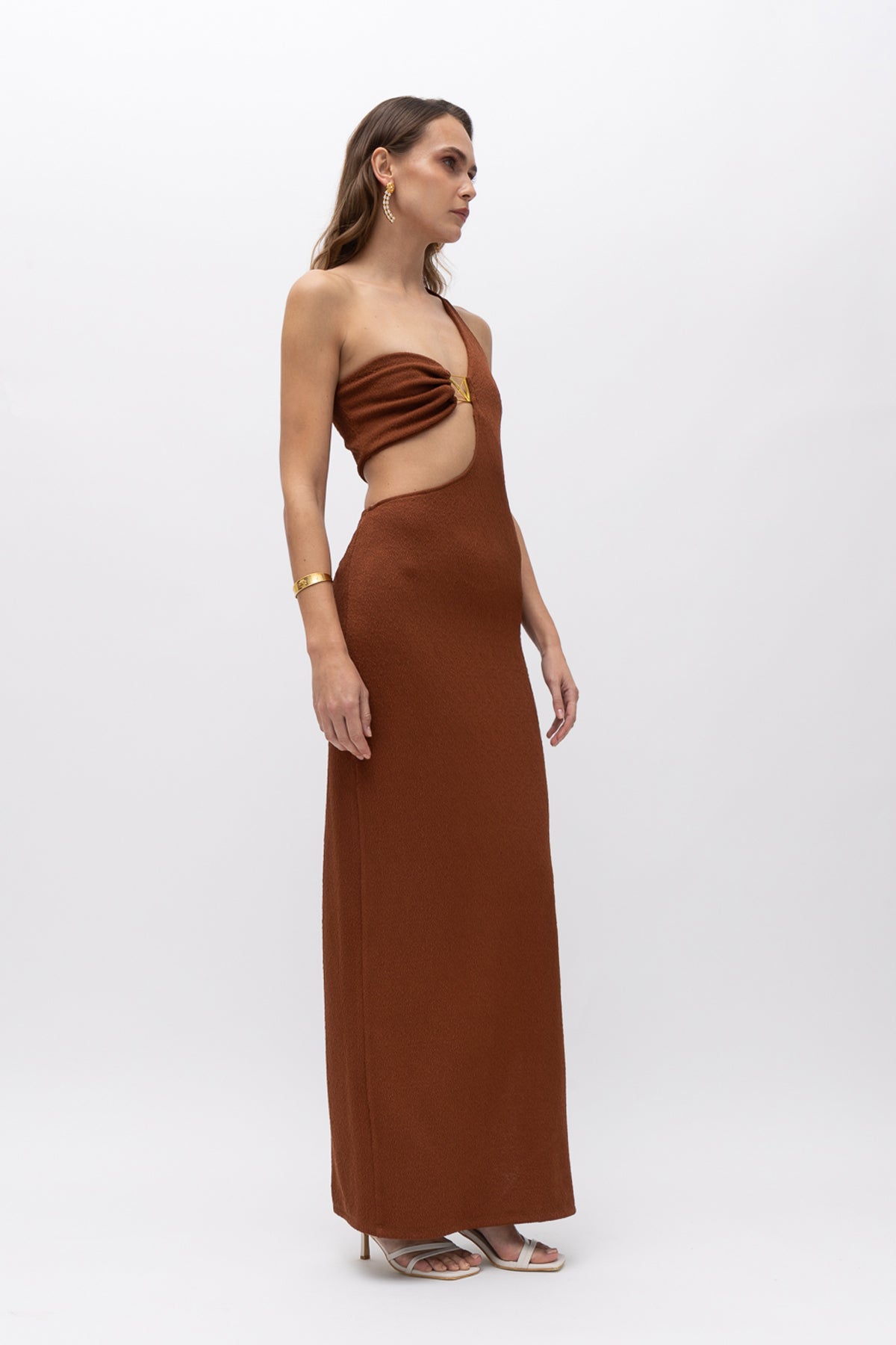 Amazon Brown Dress